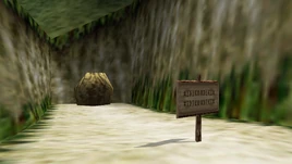 Dead End (Ocarina of Time)