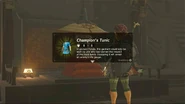Link Receiving Champion's Tunic.jpg (30 KB) Link receiving the Champion's Tunic from Impa