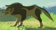 Link Loup dans Breath of the Wild.