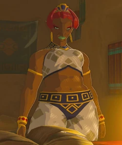 Brasiera BOTW