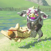 107/108 Bokoblin d'argent