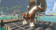 Breath of the Wild Raft Epona on a Raft (Lureliin Village)