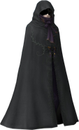 Robed Zelda