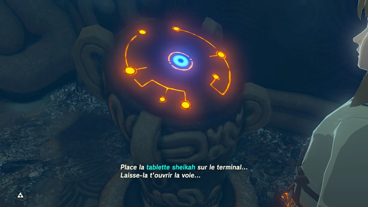 Terminal ZeldaWiki Fandom