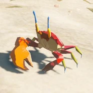 064（064） 064（064） 铠甲螃蟹