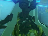 Sheikah Monk