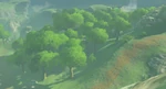 BotW-Bosque Novat