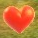Coeur HW