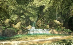 Source TP