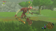 Moblin rojo en Breath of the Wild