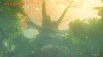 L'Arbre Mojo dans Breath of the Wild