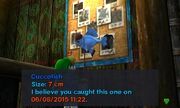 Majora's Mask Swamp Fishing Journal Bulletin board Cuccofish (7cm) zlCfzTcJ lgvfEFzfq