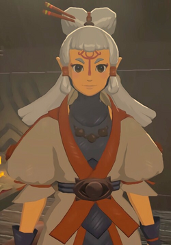 The Legend Of Zelda Breath Of The Wild Characters Zeldapedia Fandom