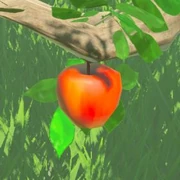BOTW Encyclopédie Pomme