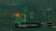 Link et Pecanis.