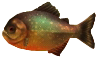 Render of a Mooranha