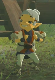 Coconoa BOTW