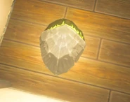 A Farosh's Scale on the floor of Link's House