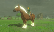 Breath of the Wild Horse Epona (Ranch Ruins)