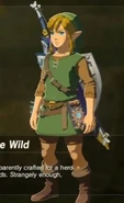 WildSetFullHylianGear.jpg (23 KB) Link wearing the "Wild" armor set