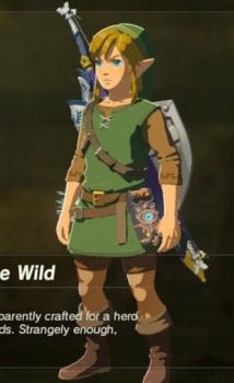 Why Doesnt Young Link ever wear pants? - General Zelda - Zelda