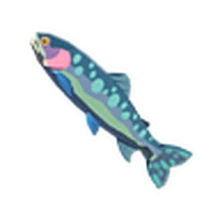 Fish Zeldapedia Fandom The hearty bass location you have to know! fish zeldapedia fandom