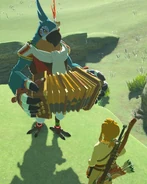 Link rencontrant Asarim