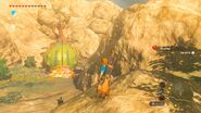 La fontaine de Caesa encore sous forme de bogue, dans Breath of the Wild