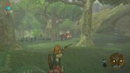 BreathOfTheWild-Screen22