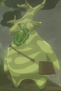 Hestu