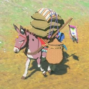 006（006） 006（006） 驴