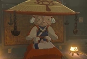 Impa botW