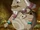 Goron Elder (Spirit Tracks)