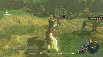 Pacification de Necluda 