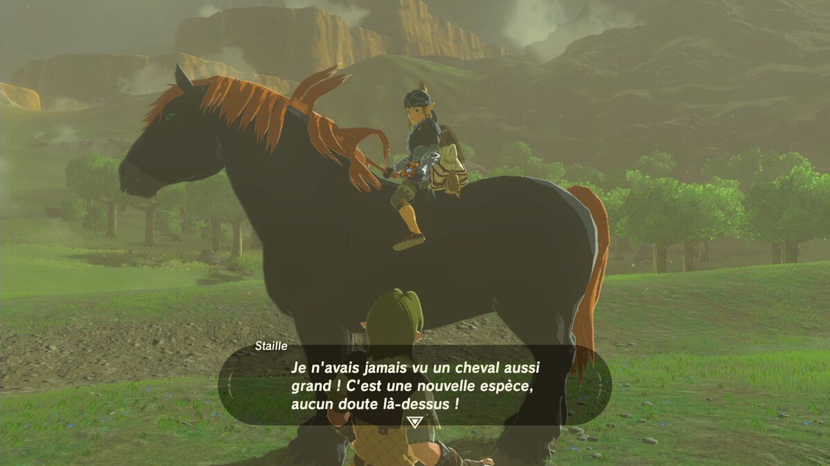 Zelda Breath Of The Wild Meilleur Cheval Cheval Géant | ZeldaWiki | Fandom