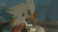 Teba