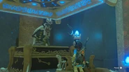 Shibe'Nyasu face à Link.