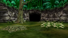 Woods of Mystery