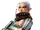 Impa (Hyrule Warriors)