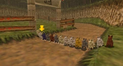 Course pour Chiens départ