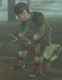 Danto BOTW