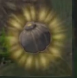 Heartytruffle(breathofthewind).png (18 KB) Hearty Truffle icon in-game
