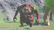 Hinox from Breath of the Wild