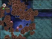 The effects of a  in the Eastern Temple