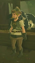 BOTW shimina