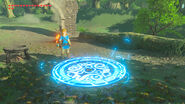 Travel Medallion used (Breath of the Wild)