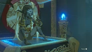 Vashi'Ryako BOTW.jpg (201 kio)