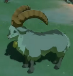 Cabra doméstica en Breath of the Wild.