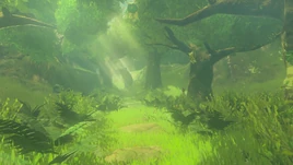 Korok Forest