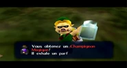 Link qui obtient le champignon Magique.